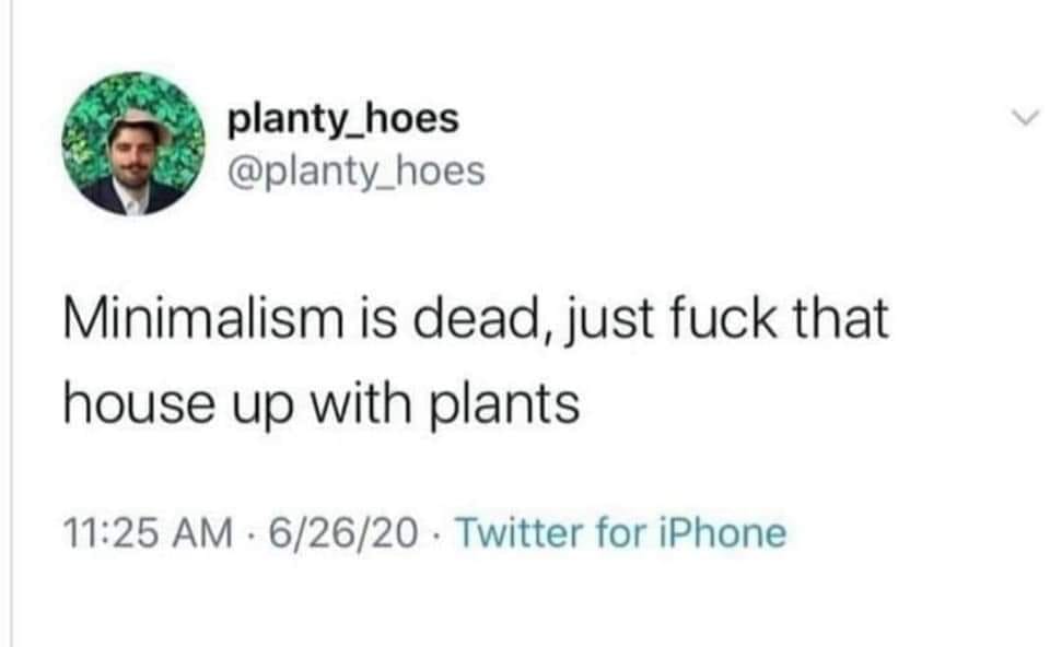 This meme is a humorous take on the idea of minimalism. The text reads: "Minimalism is dead, just f**k that house up with plants." It's a lighthearted and irreverent commentary on the concept of minimalism, suggesting that it's no longer relevant or that it's been replaced by a more carefree approach to living.