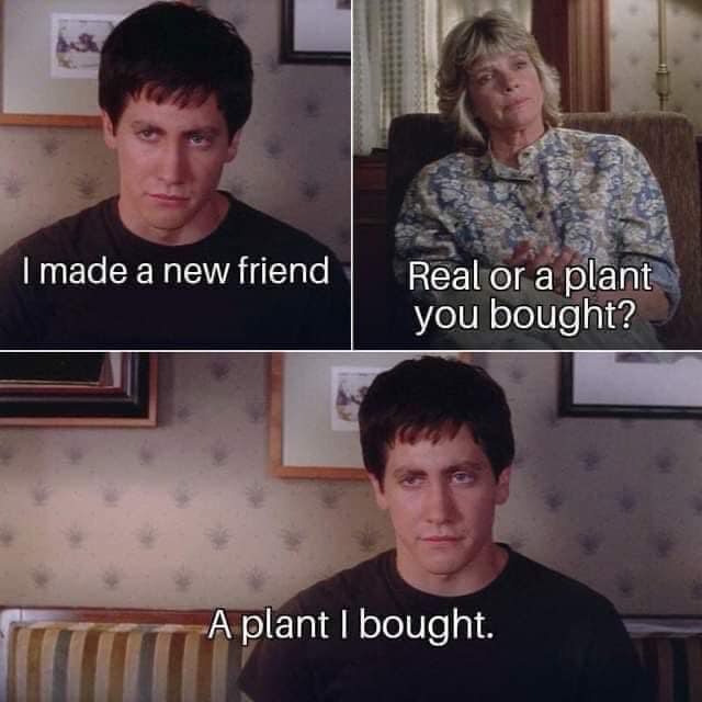 This meme is a screenshot from the 2008 comedy film "Forgetting Sarah Marshall". The image shows a character, played by Jason Segel, having a conversation with a woman who is a spiritual healer. In the conversation, the woman asks if the man is a spiritual person, and he responds with a humorous and awkward answer.