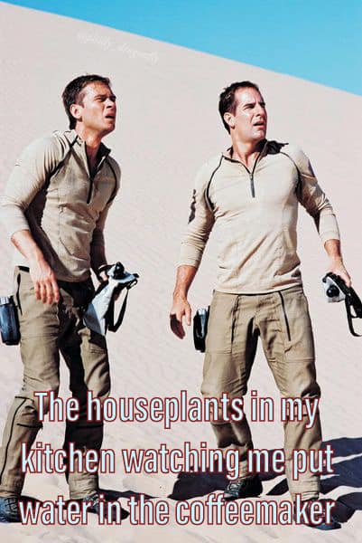 The meme features a split-screen image of two characters from the TV show "The 100" ( Clarke and Lexa) looking shocked and concerned. The text on the left side reads: "The 100" and the text on the right side reads: "I just put water in the coffee maker". The meme is likely a humorous take on the characters' dramatic reactions to a mundane situation.