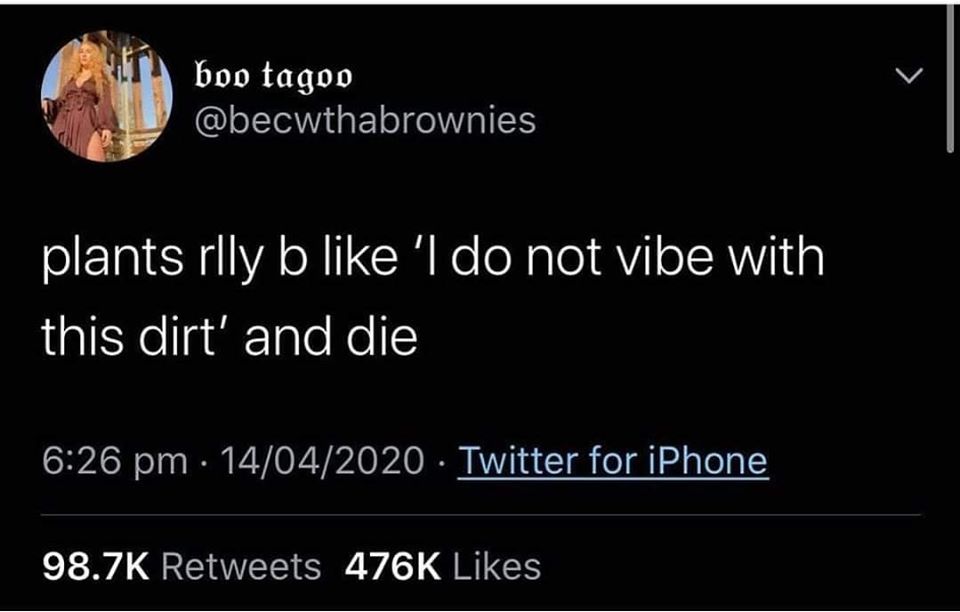 The meme is a screenshot of a Twitter post that reads "plants rly b like 'i do not vibe with this dirt' and die" in a playful, informal tone. The post is likely referencing the common experience of plants dying due to poor care or conditions, but with a humorous twist. The text is presented in a simple, sans-serif font, with no images or graphics accompanying it.