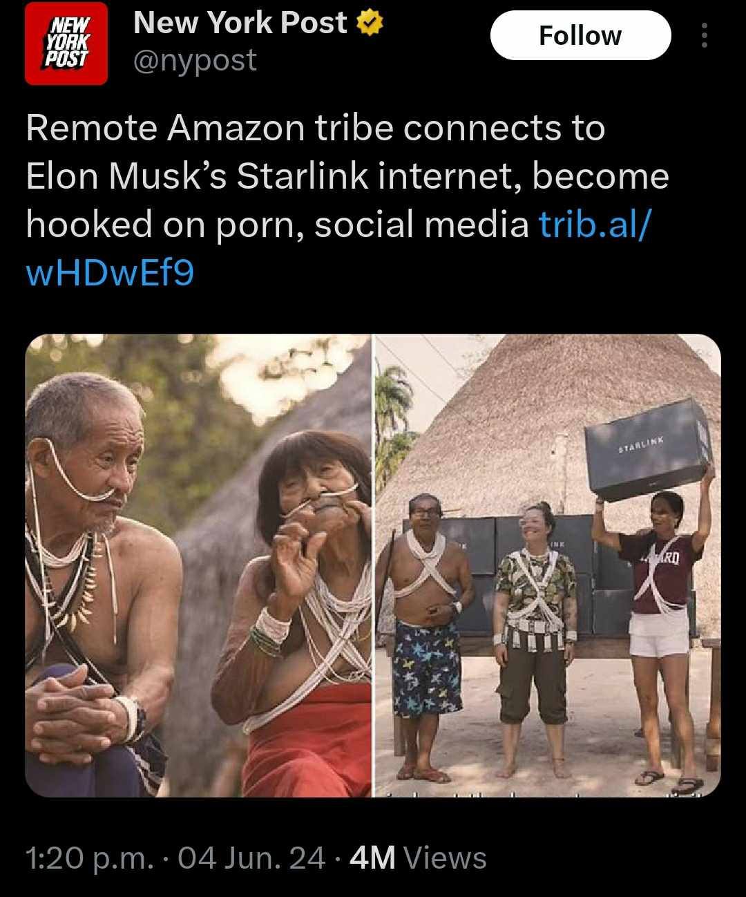 This meme is a screenshot of a news article from the New York Post with a humorous headline about a remote Amazon tribe discovering and using Elon Musk's Starlink internet. The text in the image reads: "Remote Amazon tribe discovers Starlink internet, becomes addicted to porn, and starts streaming 'Stranger Things'".