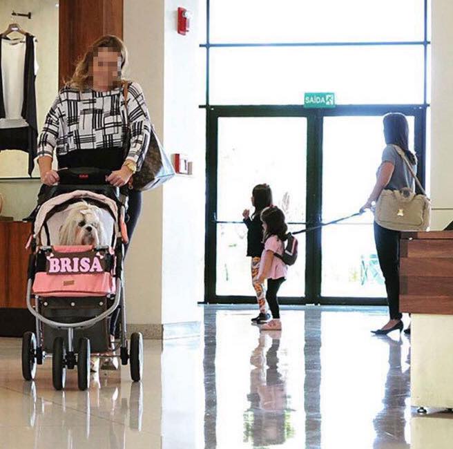 The meme is a humorous image of a woman walking a dog on a leash, with the dog wearing a stroller and a "Baby on Board" sign. The text in the image reads "Baby on Board" and "I'm not a morning person". The meme is likely poking fun at the idea of a dog being treated like a baby, and the humorous irony of a "Baby on Board" sign on a dog's stroller.