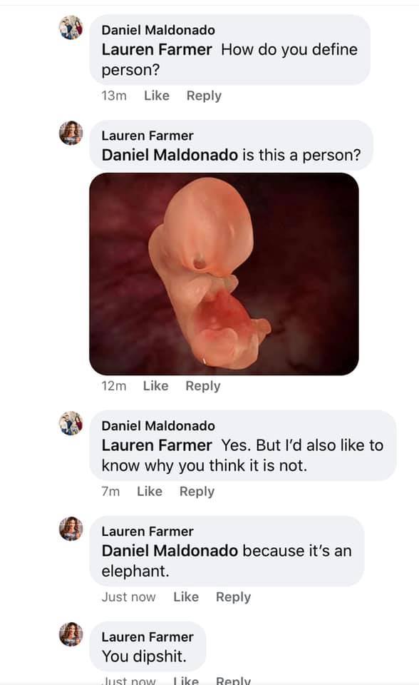 This meme is a screenshot of a Facebook conversation between two users, where one user is asking for a definition of a person, and the other user responds with a picture of a fetus in the womb, implying that the user is not a person yet. The text "In 2-3 sentences, describe this meme for someone who cannot see it" appears in the image, and the conversation continues with the user responding with a sarcastic comment, "In 2-3 sentences, describe this meme for someone who cannot see it".