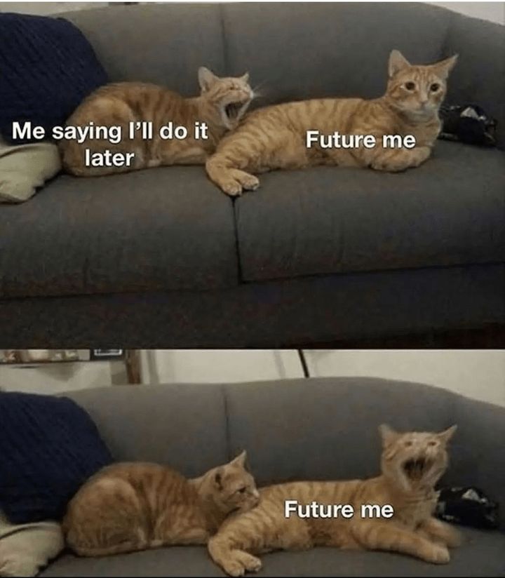 The meme is a photo of two cats sitting on a couch, with one cat looking uninterested and the other cat looking excited. The text overlay reads "Me: I'm gonna do it tomorrow" and "Cat: I'm gonna do it tomorrow" with the second cat's caption changed to "Future me: I'm gonna do it tomorrow". The meme is a humorous take on procrastination and the tendency to put off tasks until later.