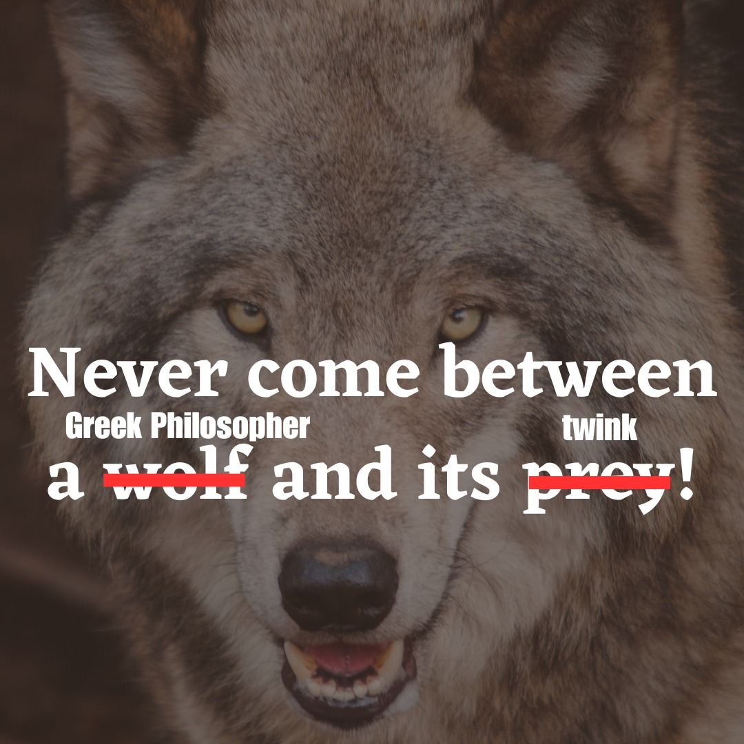 572030412_798055312863152_2370923800243642190_n