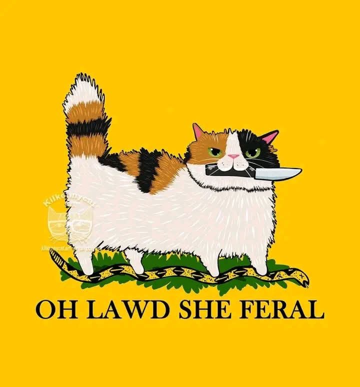 This meme serves as a deconstructed interpretation of the "American Flag," taking its allegorical meaning and replacing it with the specific commercial identity of the Kilkenny Cat breed. By altering the text to read...