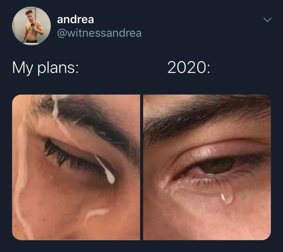 This meme is a humorous comparison between a person's expectations (represented by a smiling face with a thumbs up) and their actual experience (represented by a crying face with a red X). The text above the images reads "My plans: vs. 2020:". The meme pokes fun at the idea that 2020 was a particularly difficult and chaotic year, implying that many people's plans and expectations were severely disrupted.