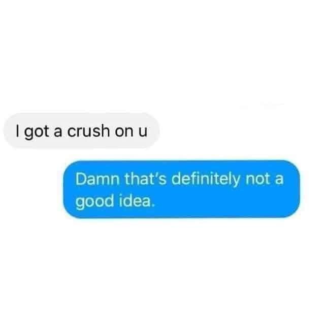 This meme is a screenshot of a conversation between two people, likely on a dating app or social media. The first person says "I got a crush on you" and the second person responds with a humorous and sarcastic comment "I'm not interested" followed by "I'm actually a robot and I'm not capable of having crushes or feelings".