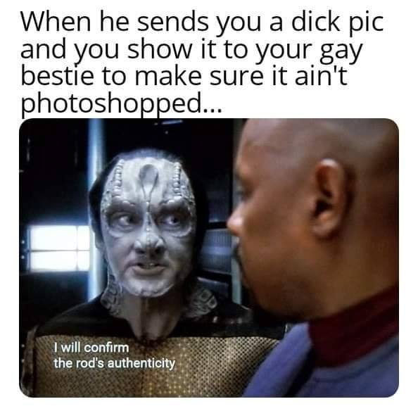 This meme is a screenshot of a character from the TV show "Star Trek: Deep Space Nine" with a caption. The character, a Ferengi named Quark, is shown with a shocked expression and a text box that reads "I will confirm the identity of the perpetrator." The caption above the image reads "When he sends you a dick pic and you show it to your gay best friend to make sure it's not photoshopped."