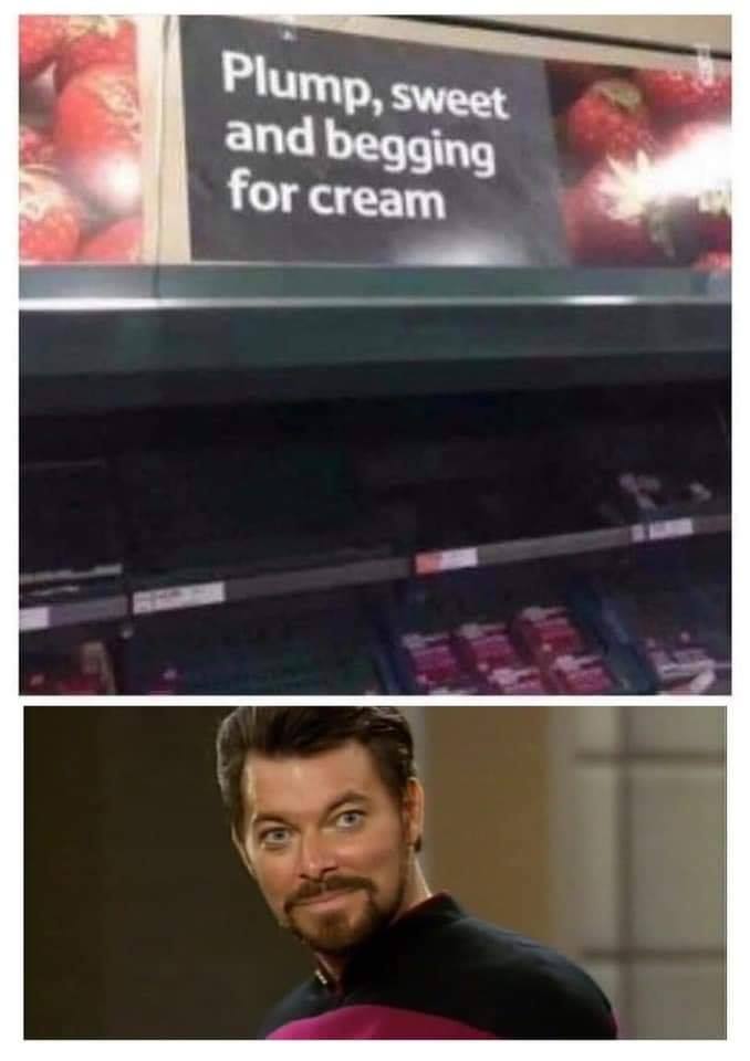 This meme is a humorous image with two parts. The top part shows a grocery store shelf with a sign that reads "Plump, juicy, and sweet strawberries" but is actually empty. The bottom part shows a character from Star Trek: The Next Generation, Captain Jean-Luc Picard, looking shocked and disappointed.