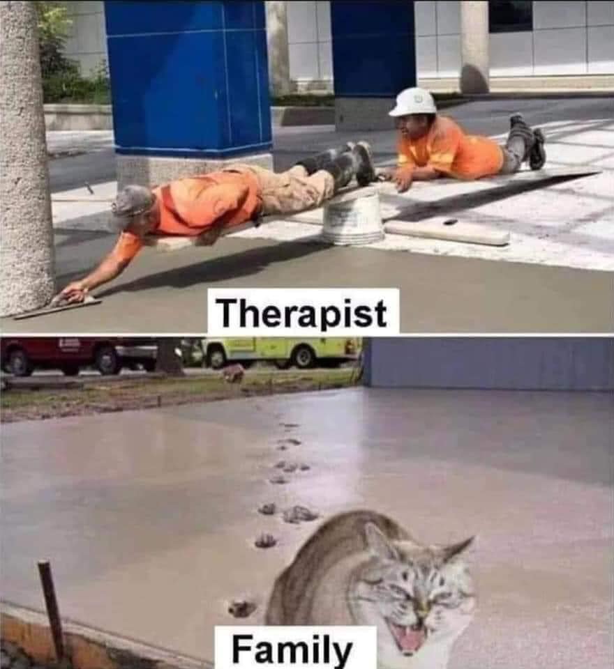 This meme is a humorous comparison between the relationship between a therapist and their patient, and the relationship between a family member and their loved one. The image shows two contrasting scenarios: a therapist and patient are depicted as trying to move a heavy object, with the therapist struggling to keep up, while a family member and their loved one are shown effortlessly gliding across a floor, with the family member shouting "I'm not lazy, I'm just on family time!"