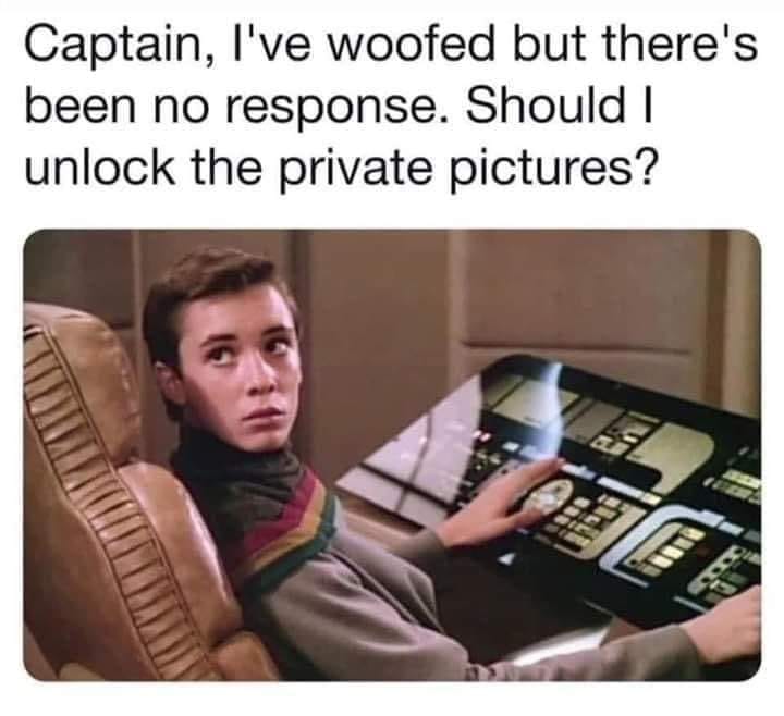 This meme features a screenshot from the TV show "Star Trek: The Next Generation" with a character, Data, looking confused. The text overlay on the image reads: "Captain, I've been trying to understand human emotions for 7 years. Can you explain why you just made that face?"