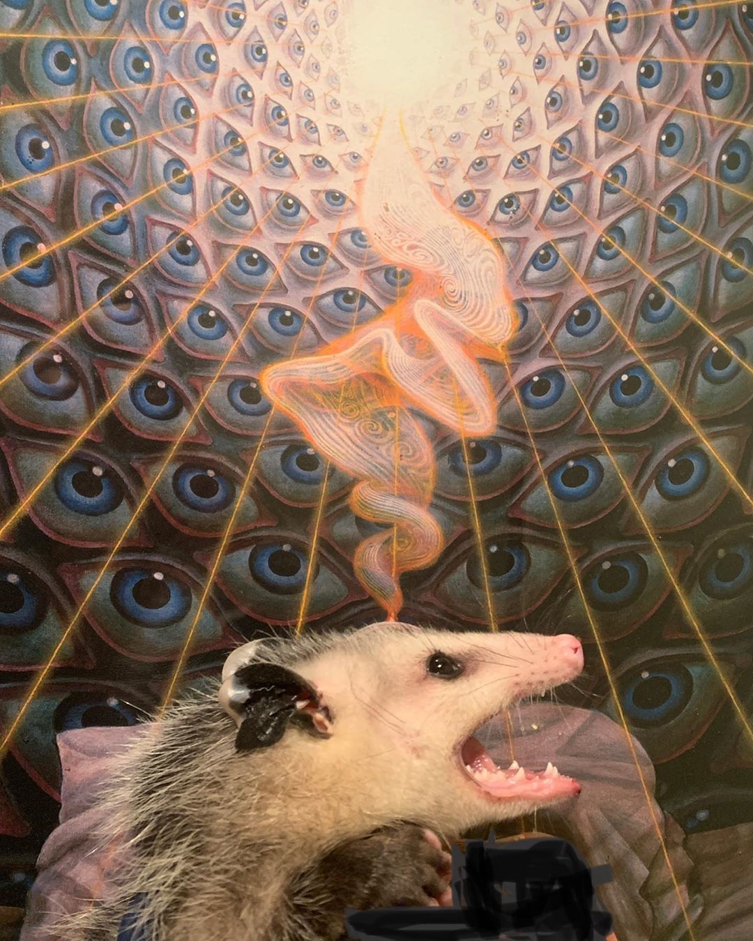 The meme is an image of a cartoonish, anthropomorphic opossum with a shocked expression, its eyes and mouth wide open. The text "when you realize you've been eating trash your whole life" appears above the opossum. The image is likely meant to be humorous and relatable, poking fun at the idea that some people may not realize the quality of their food until later in life.
