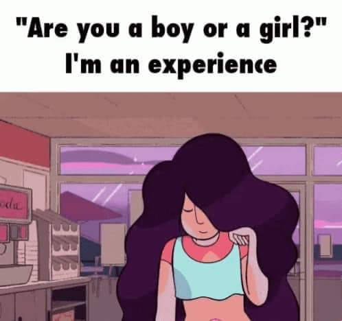 This meme is a humorous take on a common dating question. The image is a simple illustration of a woman with a thought bubble, but the text is what makes it funny. The text at the top reads "Are you a boy or a girl?" and the woman responds with "I'm not telling".