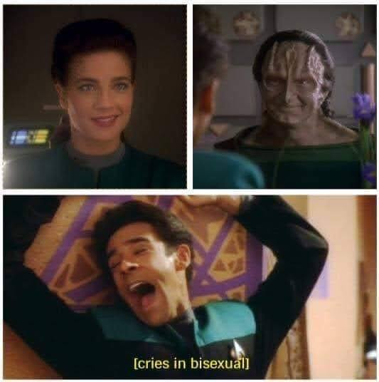 This meme is a screenshot from the TV show Star Trek: The Next Generation, featuring a character named Deanna Troi. The image shows her face with a shocked expression, and the text "I'm... surprised" appears below. However, the actual text in the meme is "I'm... surprised" is crossed out and replaced with "I'm... in love with...".