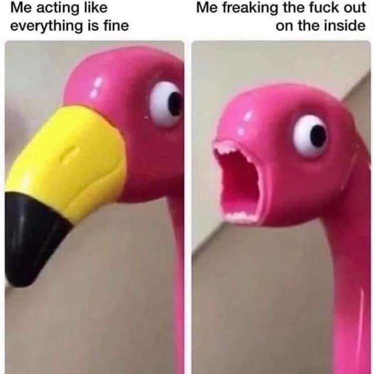 This meme features a cartoonish, exaggerated image of a flamingo with a shocked expression. The text "I'm fine" is written above the flamingo, while the text "I'm literally dying inside" is written below it. The meme is a humorous way to express feeling overwhelmed or anxious while appearing calm on the surface.