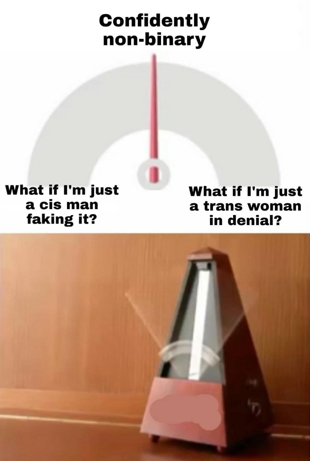 This meme is a play on the "_meter" concept, where a person is asked to rate their level of confidence in a statement. In this case, the meter is labeled "Confidence in being a non-binary person" and the needle points to "100%". The text above the meter reads "I am not a cis man" and the text below reads "I am a trans woman".
