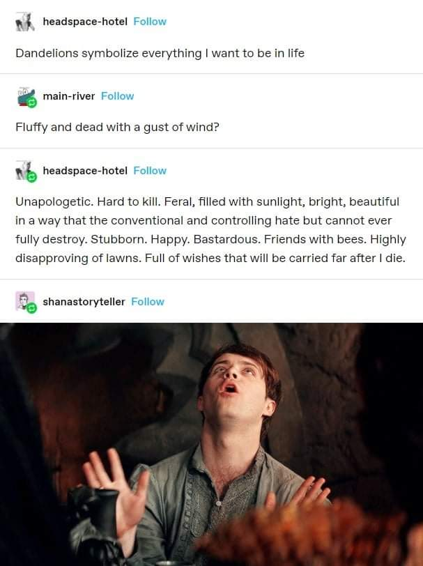 The meme is a screenshot of a Reddit comment with a sarcastic tone. The text reads: "In 2-3 sentences, describe this meme for someone who cannot see it." The image appears to be a photo of a person looking up at the sky with a mixture of confusion and disappointment on their face, accompanied by a caption "I wish I could see the stars" with a faint smile.