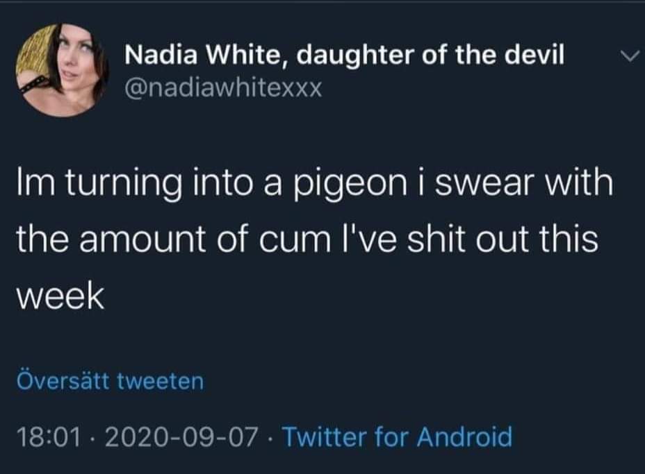 The meme features a screenshot of a Twitter post by @nadia, where she jokingly says "I'm turning into a pigeon" and "I'm turning into a pigeon I swear with the amount of cum I've seen this week".