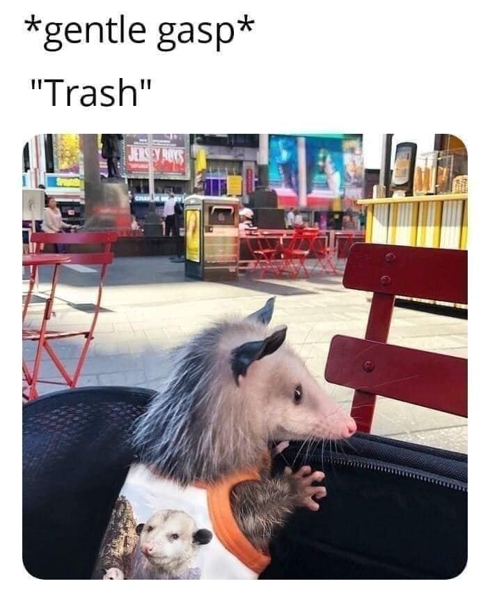 This meme features an image of a startled-looking opossum with its mouth open in a comically exaggerated expression. The text above the image reads "*gentle gasp* 'Trash'" and is meant to convey a sense of shock or surprise at something unexpected. The opossum's reaction is likely meant to be humorous and relatable, implying that someone has said or done something that's left the opossum (and possibly the viewer) stunned.