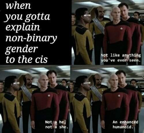 This meme is a screenshot from the TV show Star Trek: The Next Generation, featuring the character Data, an android who is trying to understand human emotions. The image shows Data looking puzzled, with a caption overlayed on top of the image: "When you explain trans issues to a cis person". The text is a humorous commentary on the challenges of explaining complex social issues to people who are not familiar with them.