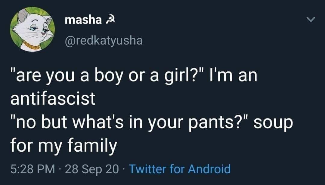 This meme is a humorous take on a typical conversation starter. The image shows a text-based conversation where someone asks "Are you a boy or a girl?" and the response is "I'm a feminist, Marxist, Leninist, and the Soviet Union's greatest leader. I'm not a boy or a girl." The joke is that the person is using a quote from Vladimir Lenin, a Russian revolutionary, to respond to a seemingly innocent question.