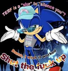 The meme features a screenshot of the character Sonic the Hedgehog from the popular video game series, but with his face distorted and his eyes and mouth exaggerated in a cartoonish, angry expression. The text "TERF is a slur to silence you?" appears above the image, and the text "I'm not mad, I'm just expressing myself" appears below it.