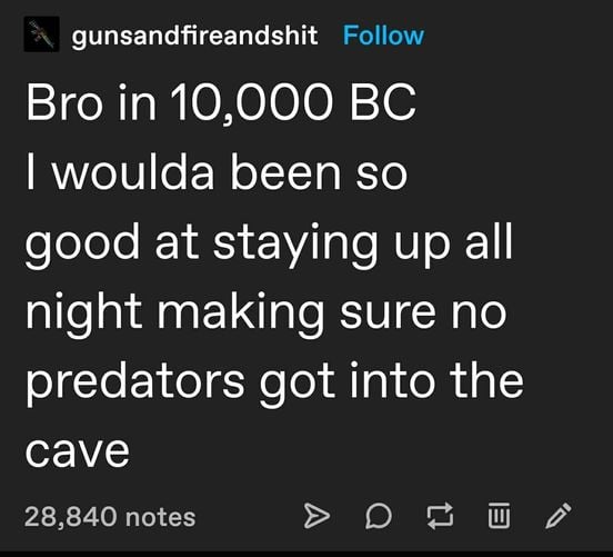 The meme is a screenshot from the social media platform Reddit. The text "In 2-3 sentences, describe this meme for someone who cannot see it" is likely a joke, as it's asking the reader to describe the meme without actually seeing it. The actual meme is a quote from a Reddit user, saying "In 2-3 sentences, describe this meme for someone who cannot see it" and then a joke about a Reddit user saying they would have been better off in 10,000 BC because they would have been able to sleep with the lights off and wouldn't have to worry about being eaten by bears.