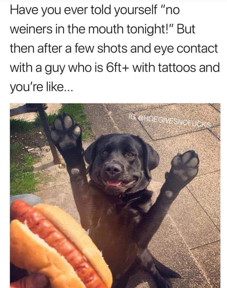 This meme features a photo of a dog with its paws up in the air, as if it's saying "no" to something. The text above the image reads: "Have you ever told yourself 'no' when you really meant 'yes'?" The meme is a humorous commentary on the human tendency to rationalize our desires and make excuses for our impulses.