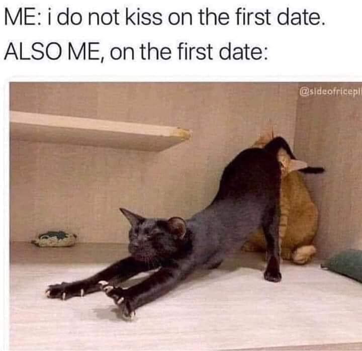 This meme is a humorous comparison between someone's dating life and their life in general. The image shows a person (implied to be the speaker) being intimate with a cat, with the cat on top of them. The text above the image reads: "Me: I don't kiss on the first date. Also me: on the first date".