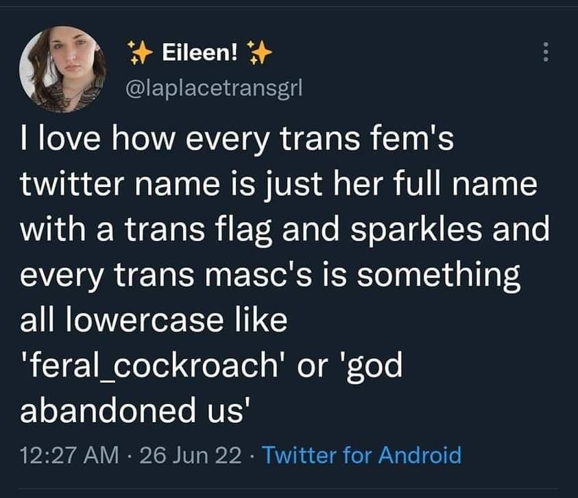 The meme is a screenshot of a Twitter post that expresses frustration with the lack of specificity in some online usernames. The text reads: "I love how every trans woman's Twitter handle is just 'they/them' or 'she/her' and I'm over here trying to find a trans woman who uses 'nonbinary' in their bio."