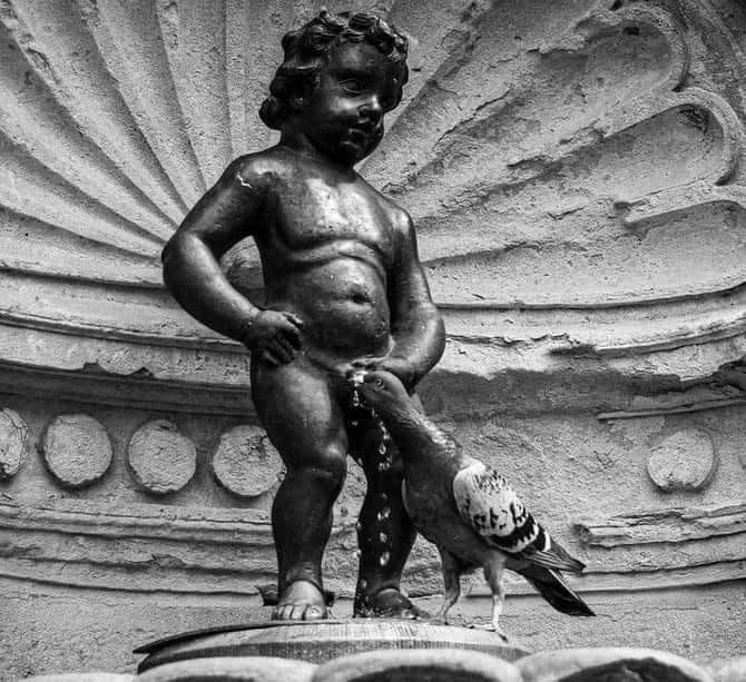 The meme is a picture of the famous Manneken Pis statue in Brussels, but with a bird (specifically a pigeon) perched on its head and pecking at its genitals. The text "I can relate" is often added to the image, implying that the statue is experiencing a common problem that many people can identify with. The meme is a humorous way to poke fun at the idea that even iconic statues can have embarrassing moments.