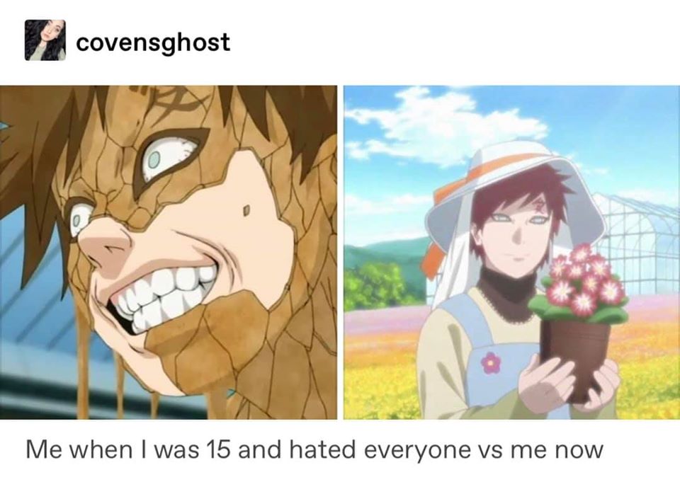 This meme is a humorous comparison between a person's current emotions and their past feelings. The text "I used to love [insert topic/thing] but now I hate it" is accompanied by two images, one of a person's joyful expression and another of their annoyed face.