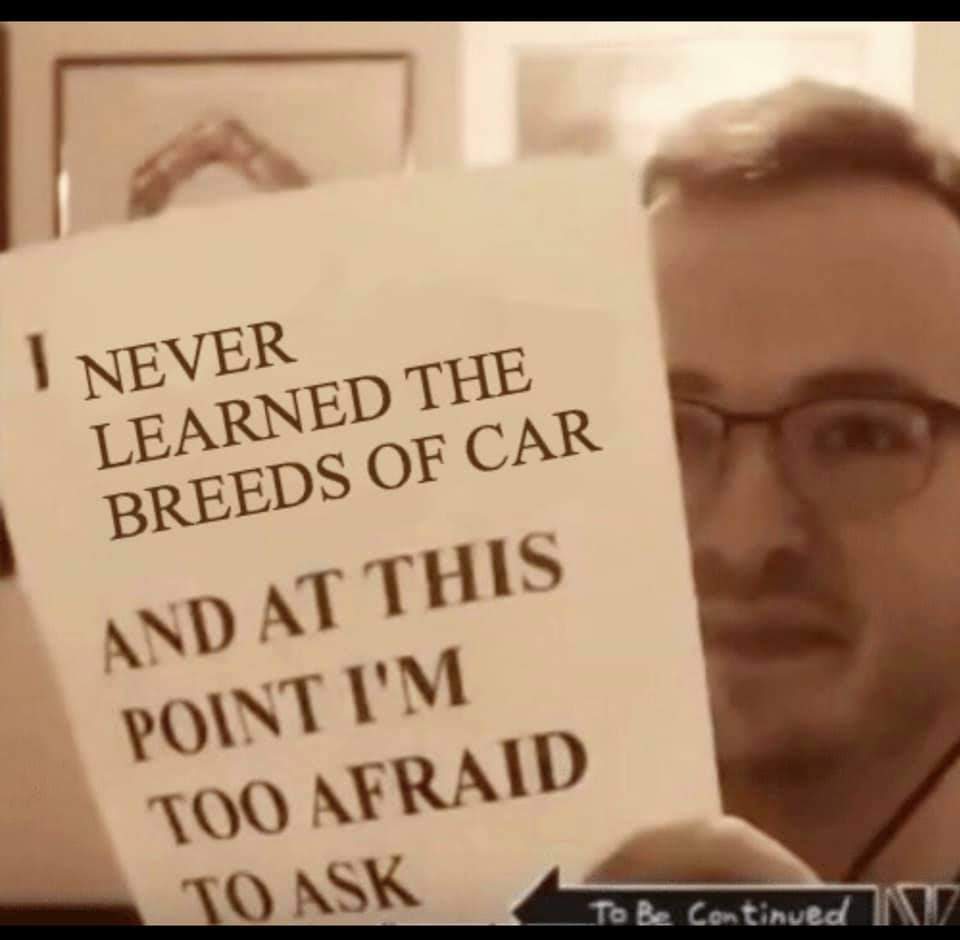 This meme is a screenshot of a person holding a sign that reads: "I never learned the breeds of car, and at this point I'm too afraid to ask." The image is likely a humorous take on the anxiety of feeling ignorant about something seemingly basic, and the person's fear of asking about it is exaggerated for comedic effect.