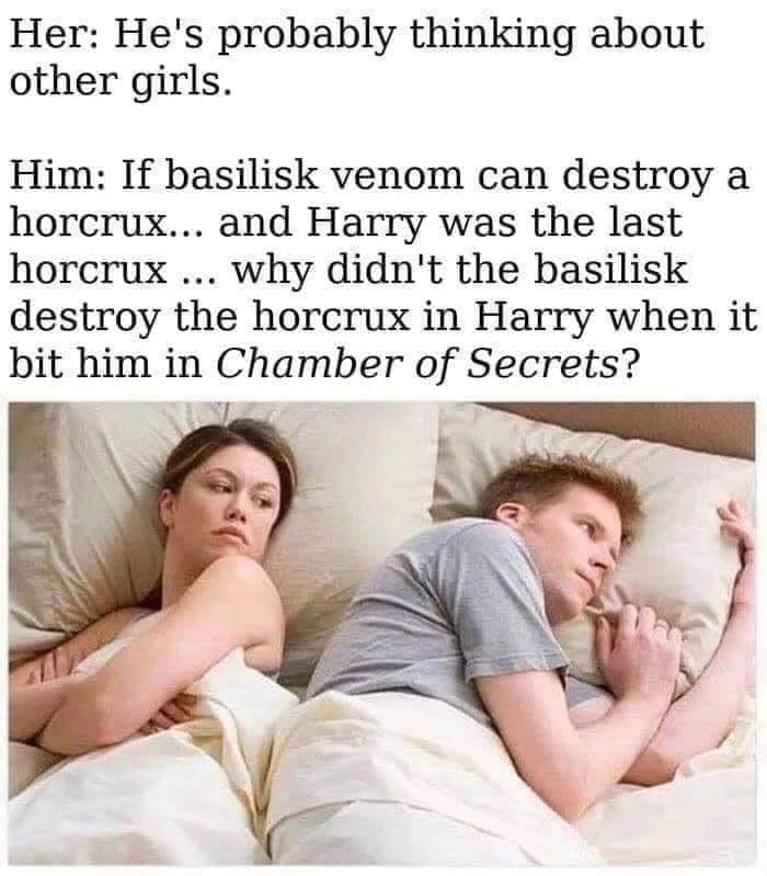 The meme is a screenshot of a conversation between a man and a woman in a relationship. The woman asks the man if he remembers a specific scene from the Harry Potter series, and the man's response is a humorous and sarcastic remark about the scene's significance. The text in the image reads: "Her: Do you remember when Voldemort killed Harry in the book? Him: No, but I do remember when Voldemort killed Harry in the book... and that's when Harry died."