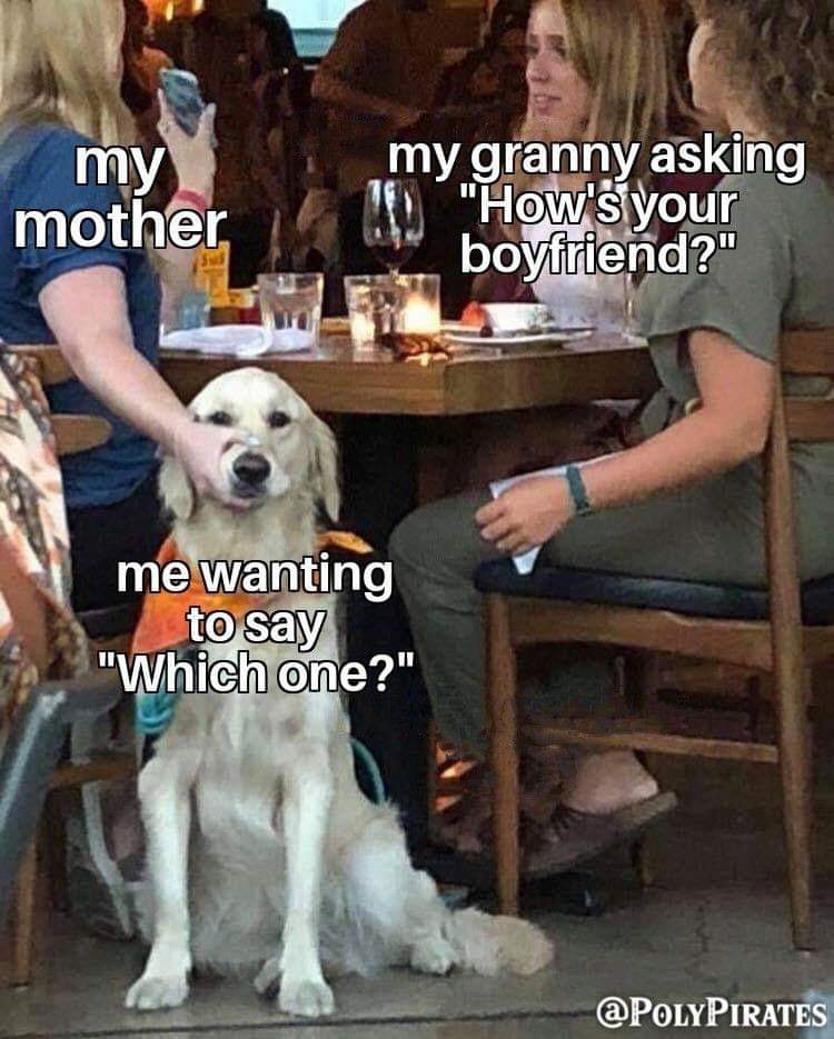 This meme features a photo of a person sitting at a table with a dog, and the dog is wearing a "I'm not arguing, I'm just explaining why I'm right" t-shirt. The text overlay reads "Me: I'm fine, thanks. Dog: I don't think so". The meme is humorous because it exaggerates a common situation where someone is trying to downplay their emotions or situation, but the dog is being more honest and skeptical.