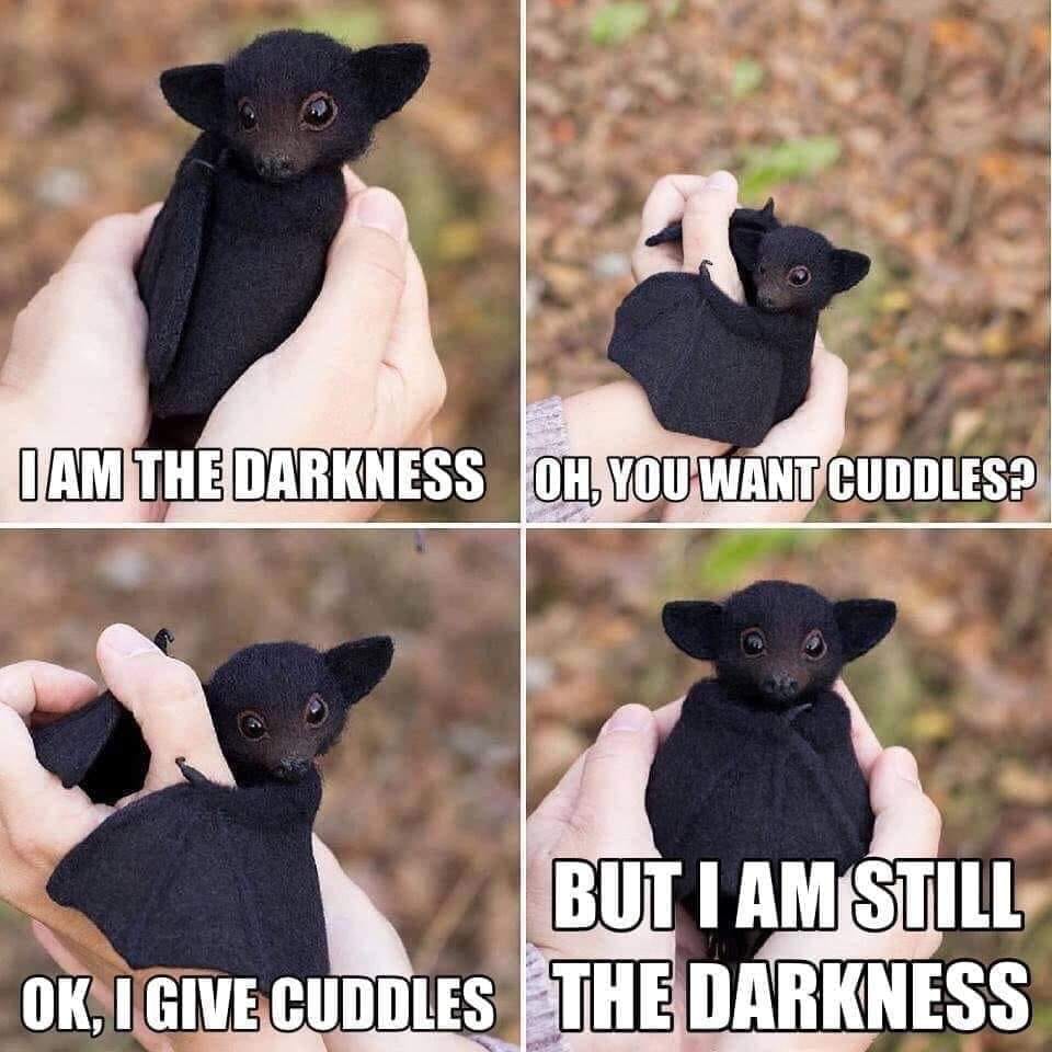 The meme features a photo of a baby bat with a caption that reads: "I am the darkness, but I still need cuddles." The image is a playful take on the idea that even in the darkest of times, we still crave human connection and affection.