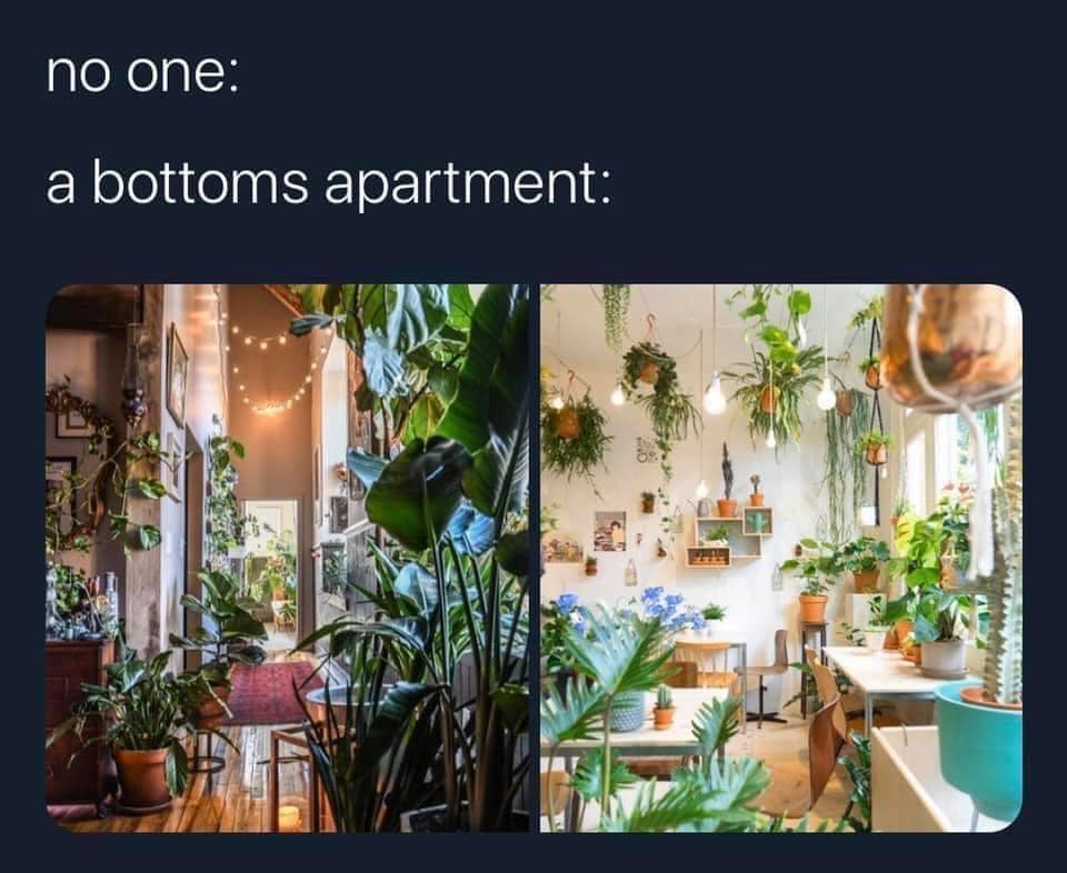 This meme is a humorous comparison between two vastly different living spaces. The image on the left shows a beautifully decorated, upscale apartment with lush greenery and elegant furniture, while the image on the right shows a cluttered, messy apartment with trash and disorganization. The text above the images reads "no one: / a bottoms apartment:"