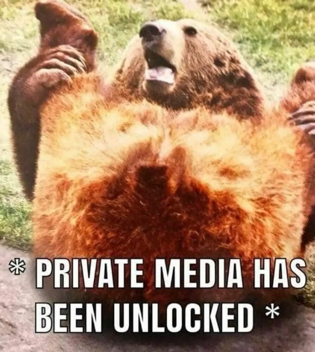 The meme features a photo of a bear with its paws up in the air, looking relaxed and happy. The image is captioned with the text "Private Media Has Been Unlocked".