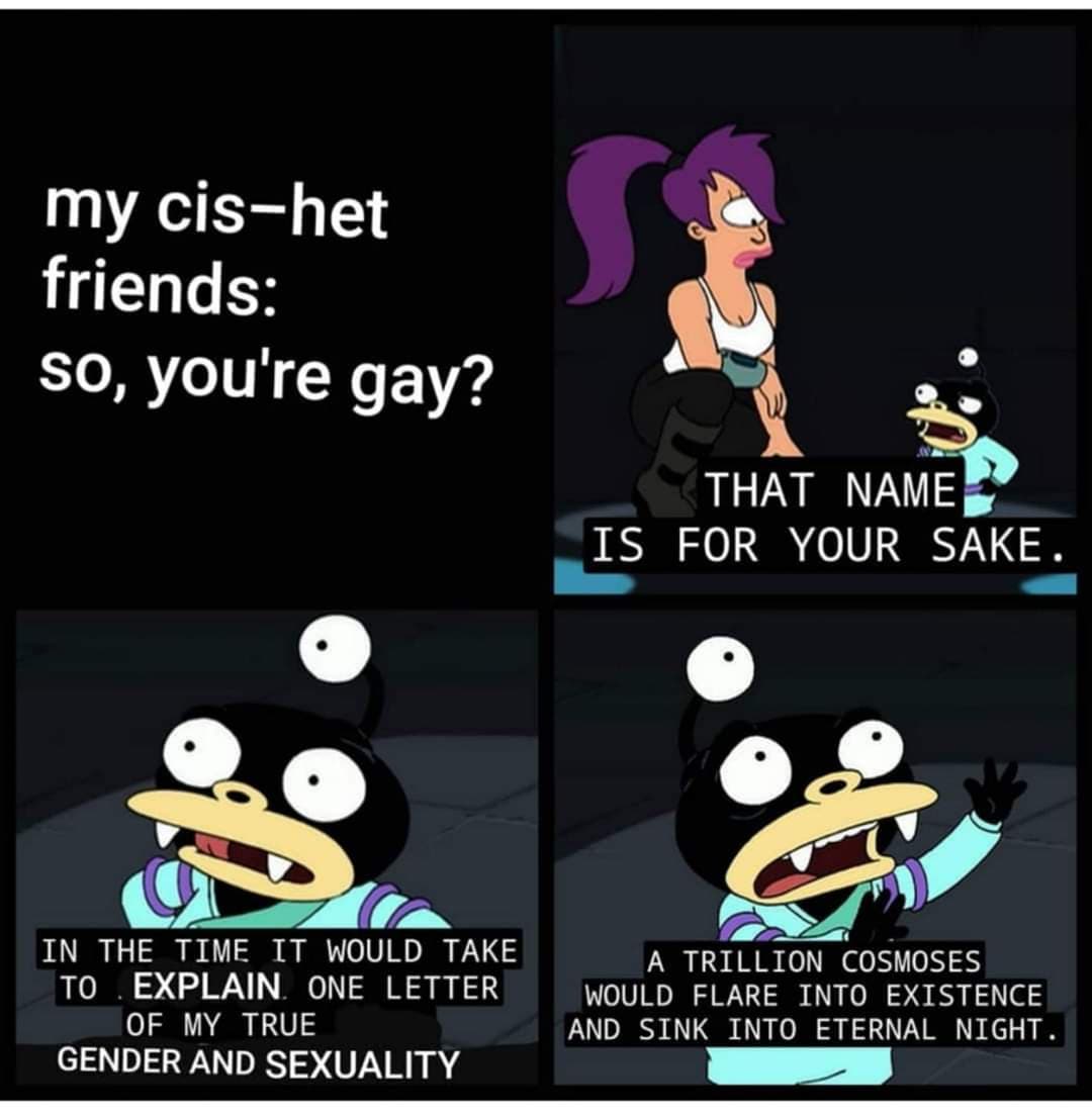 This meme is a humorous, satirical take on the concept of "coming out" as a non-binary person. The image features a character from the animated TV series "Futurama" (Leela) and a character from the animated TV series "Rick and Morty" (Birdperson) in a humorous and absurd conversation about identity and self-expression. The text reads: "In the time it takes to explain one letter of my true gender and sexuality, I would have written a 10,000-page novel explaining my existential crisis."