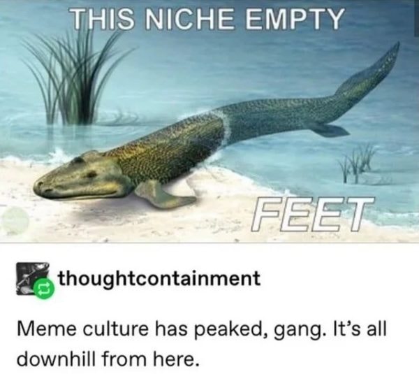 This meme is a play on the "land before time" dinosaur movie. The image shows a long-necked dinosaur (a sauropod) with a caption that says "this niche empty" and a second caption that says "land before time" in a font that looks like it was written in the stone age.