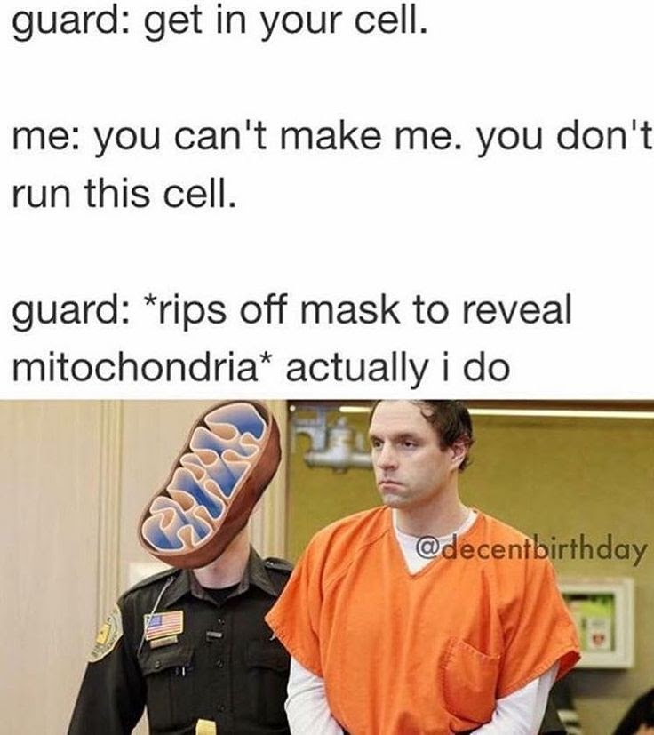 This meme is a humorous image that uses a pop culture reference to make a point about the absurdity of a situation. The image features a scene from the TV show "The Big Bang Theory" where Sheldon Cooper is being taken away by the authorities. The text overlay on the image reads: "I'm not a scientist, I'm a super genius, and I'm not going to be treated like a common criminal! I'm going to escape, and I'm going to escape using my vast knowledge of science!"  However, the image is actually a play on words, and the text overlay says: "I'm not a scientist, I'm a super genius, and I'm not going to be treated like a common criminal! I'm going to escape, and I'm going to escape using my vast knowledge of science!... Oh, wait, I'm in prison, and I'm going to escape using my vast knowledge of science... by becoming a cell!"