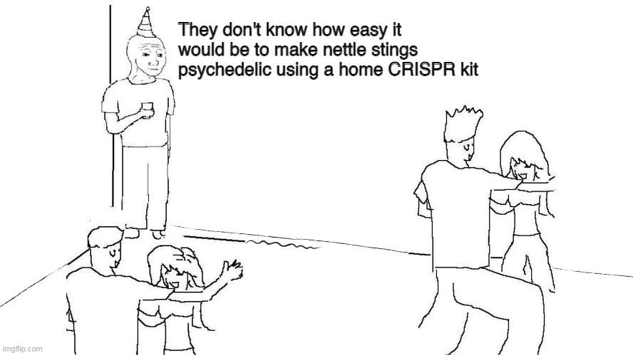 This meme is a play on the phrase "they don't know what they've got till it's gone" from the song "They Don't Know" by The Kinks, but with a humorous twist. The image shows a person trying to get a cat to do something, but the cat is not cooperating. The text at the top of the image reads "They don't know how easy it is to make nettle sting psychedelics using a home cat" and at the bottom it says "They don't know what they've got till it's gone".