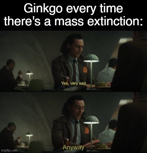 This meme is a humorous take on the concept of extinction. It features a character from the Marvel Cinematic Universe, Loki, in a scene where he is talking to a scientist about a species called "Ginny" (short for Ginni, a dinosaur-like creature). Loki says "Ginny is dead" to which the scientist responds with a joke about how the species was "never actually alive" and therefore never had a chance to become extinct. The joke is that the scientist is making a joke about how the species was never actually alive, implying that it never had a chance to become extinct.