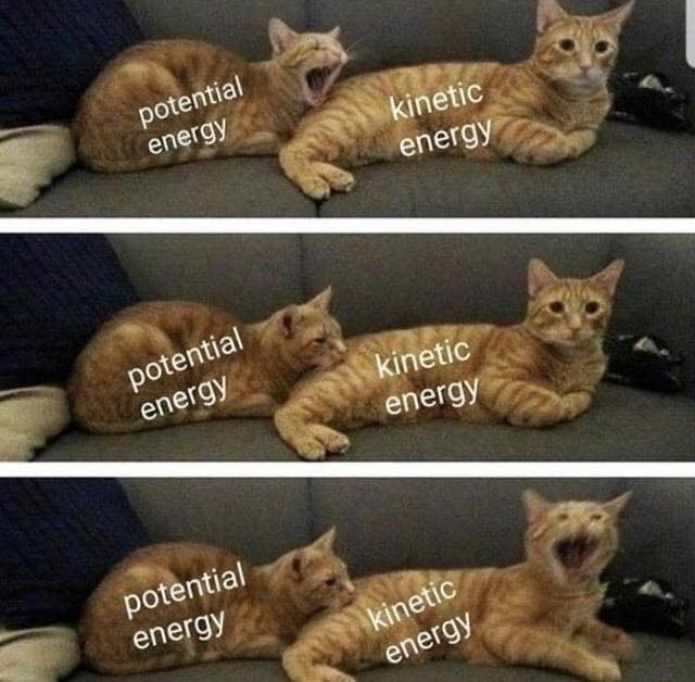 The meme features two cats sitting on a couch, with one cat labeled "potential energy" and the other labeled "kinetic energy". The cats are in the same position, but in the second panel, the cat labeled "kinetic energy" is now standing up and looking at the camera, implying that it has converted its potential energy into kinetic energy. The text "I just converted my potential energy into kinetic energy" appears above the second panel.