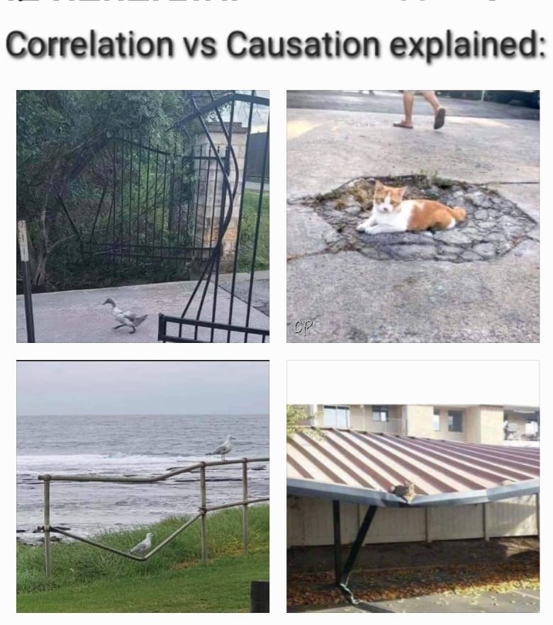 This meme is a humorous example of a common internet phenomenon where a person or entity is used in a situation where they are not supposed to be, often with comedic or ironic results. The image shows a cat sitting in a hole in the ground, surrounded by a broken fence, with a caption "Correlation vs Causation" (a concept in statistics that refers to the difference between two events being related vs one causing the other).
