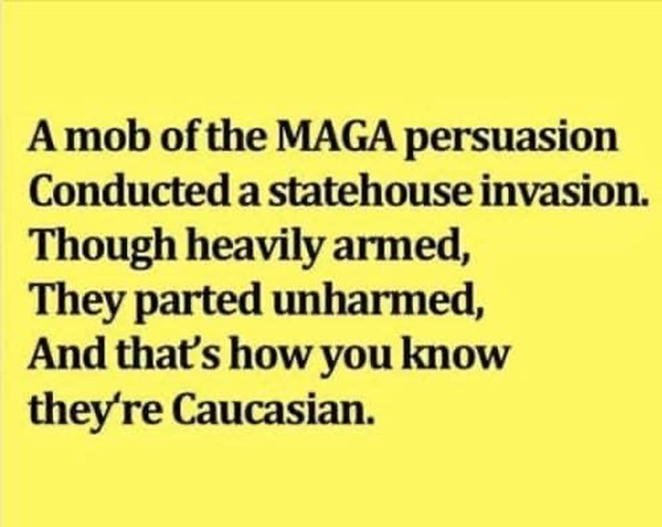 This meme is a play on the classic "I Can Read You a Story" song, but with a humorous twist. The text reads: "A mob of the MAGA persuasion / Conducted a statehouse invasion / Though heavily armed, / They were largely / Unarmed, / And that's how you know / They were / White." The meme pokes fun at the idea that a group of people, presumably from a conservative or MAGA (Make America Great Again) persuasion, were able to successfully invade a statehouse, despite being largely unarmed. The punchline is that the group was "white," implying that the fact that they were able to successfully invade the statehouse was due to their whiteness, rather than any other factor.