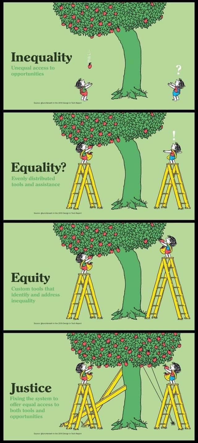 The meme is a humorous illustration of a person climbing a tree to pick an apple, but instead of finding a juicy apple, they find a tiny, empty bucket labeled "Equality". The text in the image reads: "Inequality: Unequal access to opportunities. Equality: Unequal access to opportunities. Inequality: Unequal access to opportunities. Equality: Unequal access to opportunities." The meme is poking fun at the idea that "equality" is just a fancy word for "inequality" with a few words changed.