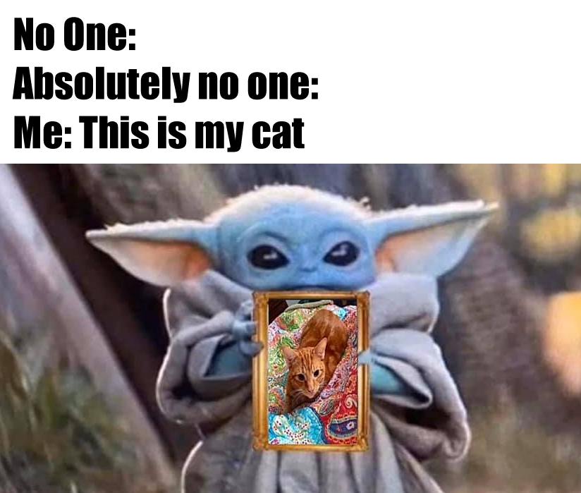 Okay, let's break down this meme using the requested theoretical lenses. It's a layered image, ripe for interpretation! **Visual Description** The image depicts "Baby Yoda" (Grogu) from *The Mandalorian* holding up a...