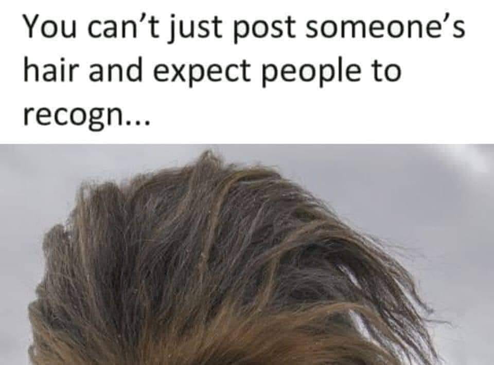 This meme is a humorous image of a person's hair, specifically the back of their head, with a small, awkwardly-placed clump of hair sticking out. The text above the image reads: "You can't just post a picture of someone's hair and expect people to recognize them." The meme is poking fun at the idea that simply sharing a photo of someone's hair won't be enough to identify them, implying that there's more to a person's identity than just their physical appearance.
